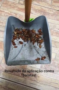 Galeria Viper 6