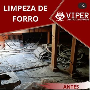 Galeria Viper 7