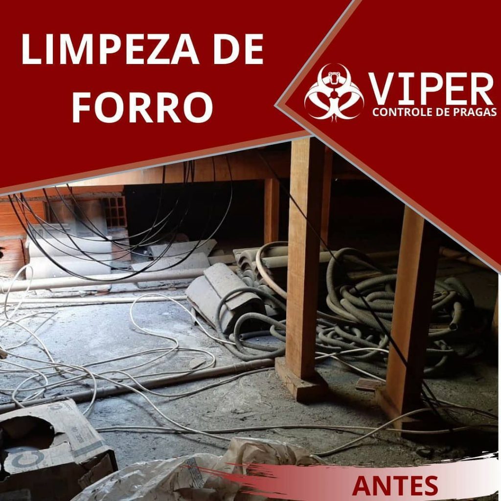 Forro antes da limpeza