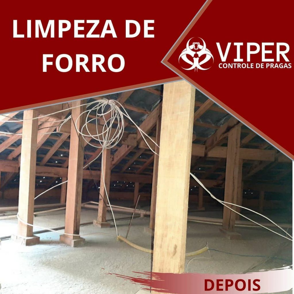 Forro depois da limpeza